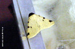 KFBG25Feb06_0025s