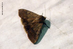 KFBG25Feb06_0033s