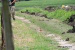 20Apr10_0129s