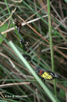 26Dec09_0042bu