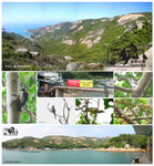 PoToi_20003_6s
蒲台島是香港觀鳥界中的朝聖地，因為你可以在島上見到香港其他地方見不到的雀鳥品種，但它同時亦被觀鳥界內的朋友謔稱「吉之島」，原因是島上的鳥況「運桔」起來，可以連一隻麻雀也見不到。

蒲台島上的鳥況何以如此「大起大落」？全因它位處於香港最南端，並遠離內陸，於是成為了很多沿著海岸線，每年進行南北遷徙的候鳥的「中途休息及加油站」，它的 "stop over" 功能對候鳥在遷徙旅途中遇上惡劣天氣時尤其重要。

所以若蒲台上的自然環境受到破壞，這不但對村民是重大打擊，對每年遷徙路經此地的候鳥來說更會造成嚴重的生命威脅。不難想像，如牠們在旅程中遇上惡劣天氣被「迫降」蒲台，但因島上全被發展而再沒有任何植物或昆蟲給牠們「加油」，最終的結果也許就只有「餓死」在蒲台島上或因飛至筋疲力盡而「墮海溺斃」於海中。

所以請支持蒲台成為郊野公園，讓這裡的天然生態環境得以保護及保存！