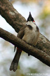 TPK13Jan06_0056s