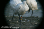 08Jan12_0033_E26