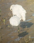 IMG_20201204_153004-A47