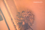 05Jun12_0327s
