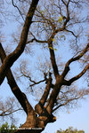 TPK13Jan06_0029s