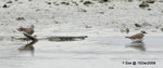 15Dec09_0059s