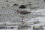 15Dec09_0085s