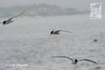 11Aug08_0107b