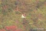 深涌！
14Aug08_0108b