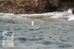 15Jun12_0179s