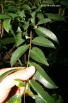 07Dec07_0105