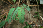 12Feb08_0002s