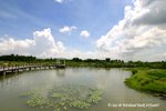 WetlandPark05Jun07_10063s