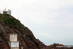 燕鷗島
TungPingChau09Jul05_10092s