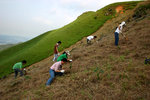 努力中（2）
KFBGTreePlanting22Jul06_029