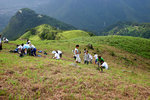 努力中（3）
KFBGTreePlanting22Jul06_030