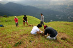 努力中（6）
KFBGTreePlanting22Jul06_033