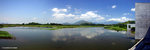 淡水沼澤
BusWP10May06_0026_29s