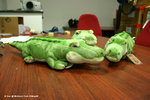 精品（二）鱷魚
BusWP10May06_0038s