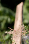 CRW_9653
