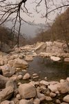 CRW_2067