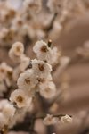CRW_2109