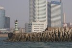 CRW_2180