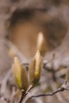 CRW_2243