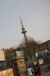 Raw_009