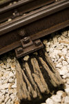 DSC_0773