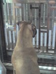 看門口的好ＢＢ（２）