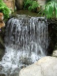 CIMG0053