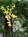 CIMG0057
