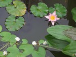CIMG0063
