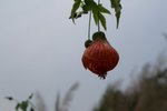 CIMG0073