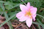CIMG0078