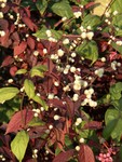 CIMG0027