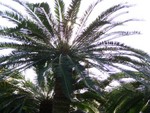 CIMG0030