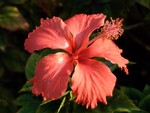 CIMG0036