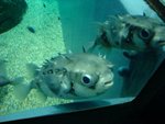 DSC09809