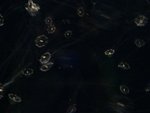 DSC09860