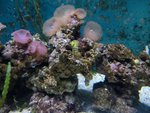 CIMG0493