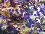 CIMG0558