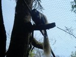 DSC00619