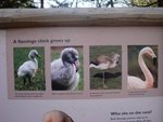 DSC00636