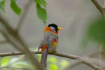 IMGP3905a