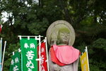 IMGP5454