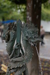 IMGP5468