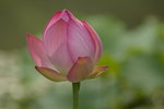 _IGP5058